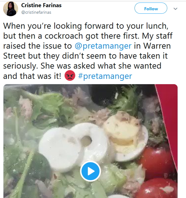 2018-12-22 Cockroach in salad