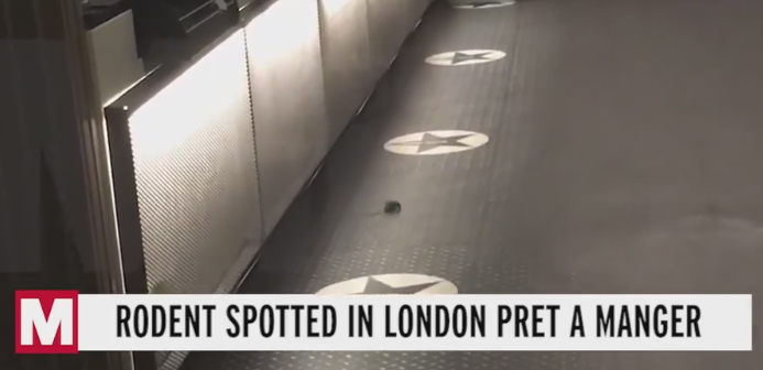 2019-11-07 Mice filmed in Pret TrafSq