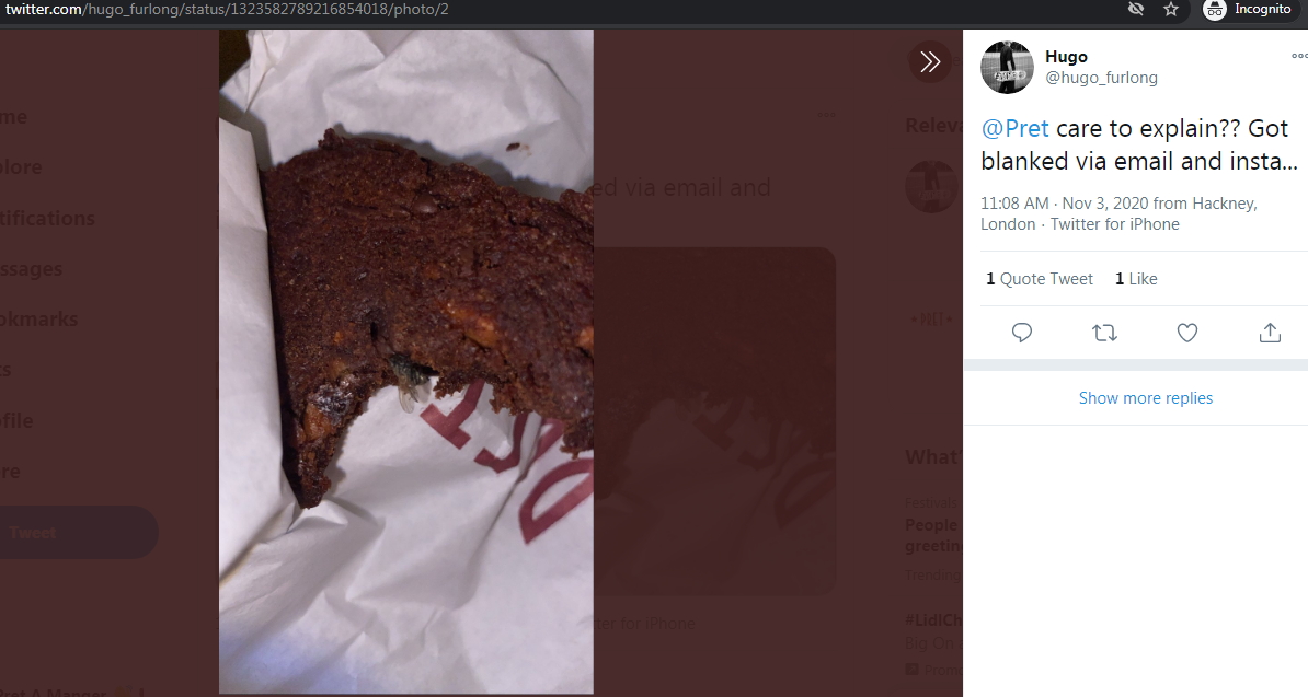 2020-11-03 Fly baked into cookie