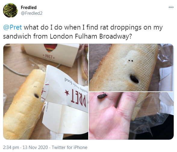 2020-11-13 Rat dropping in baguette