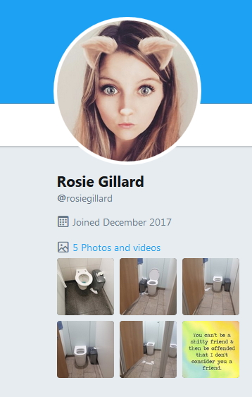 2019-01-05 Rosie Gillard toilets